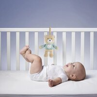 Игрушка музыкальная с ночником Chicco Звездный медвежонок, бежевый (11128.00)