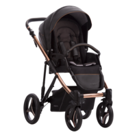 Універсальна коляска 2 в 1 Bebetto Pascal Premium Stela (02) 