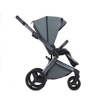 Універсальна коляска 2 в 1 Anex l/type Owl (lt-09tN-c)