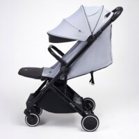 Прогулочная коляска Anex Air-X Gray (Ax-03/L)