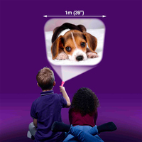 Ліхтарик-проектор Brainstorm – Чарівні та пухнасті тваринки (3 диски, 24 зображення) (E2043)