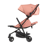 Прогулянкова коляска Anex Air-Z Blush (AAZ-05)