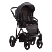 Універсальна коляска Bebetto Pascal Premium Class Dark 02, чорний (503.25.21.D02)