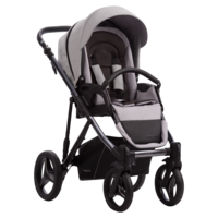 Універсальна коляска Bebetto Pascal Premium Class Dark 01, світло-сірий (503.25.21.D01)