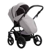 Універсальна коляска Bebetto Pascal Premium Class Dark 01, світло-сірий (503.25.21.D01)