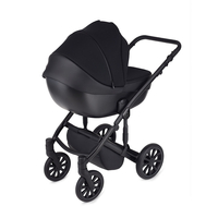 Універсальна коляска Anex M-Type 2 in 1 Ink (mt-05Q)