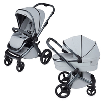Универсальная коляска 2 в 1 Anex l/type Frost (lt-10tN-c) 
