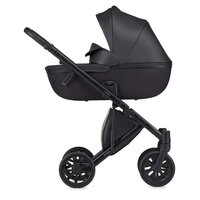 Універсальна коляска 2 в 1 Anex e/type Swan (ET-08A)