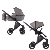 Універсальна коляска 2 в 1 Anex e/type Gothic, з рюкзаком (ET-03A) 