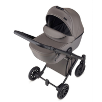 Універсальна коляска 2 в 1 Anex e/type Gothic, з рюкзаком (ET-03A)