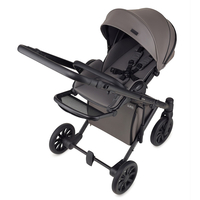 Універсальна коляска 2 в 1 Anex e/type Gothic, з рюкзаком (ET-03A)