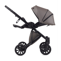 Універсальна коляска 2 в 1 Anex e/type Gothic, з рюкзаком (ET-03A)