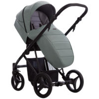 Дитячий візочок Bebetto Flavio 2 в 1 PRO 09, зелений (503.12.22.P09)