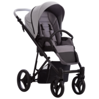 Детская коляска Bebetto Flavio 2 в 1 PRO 10, серый (503.12.22.P10)