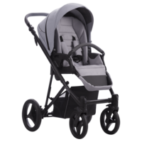 Дитячий візочок 2 в 1 Bebetto Flavio PRO 04, сірий (503.12.21.P04)