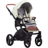 Універсальна коляска 2 в 1 Bebetto Luca PRO 18, фісташковий (503.33.21.018)