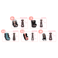 Дышащий вкладыш AeroMoov Air Layer Antracite для колясок и автокресел (AL-B-ANT)