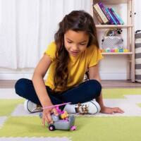 Набор Paw Patrol Базовый спасательный автомобиль со Скай (SM16775/9931)