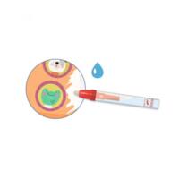 Набір для малювання водою Djeco В морі, в небі, на землі (DJ09074)