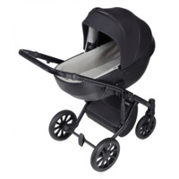 Універсальна коляска Anex M-Type 2 in 1 Argo (MT-08Q)