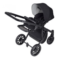 Універсальна коляска Anex M-Type 2 in 1 Argo (MT-08Q)