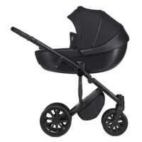 Універсальна коляска Anex M-Type 2 in 1 Argo (MT-08Q)