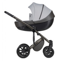 Універсальна коляска Anex M-Type 2 in 1 Mirage (MT-09Q)