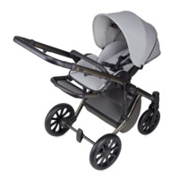 Універсальна коляска Anex M-Type 2 in 1 Mirage (MT-09Q)