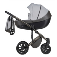 Універсальна коляска Anex M-Type 2 in 1 Mirage (MT-09Q)