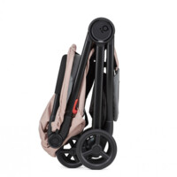 Модульна коляска Anex IQ Rosy (5902280018346)