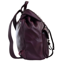 Рюкзак YES Weekend YW-13, сливовий (556934)