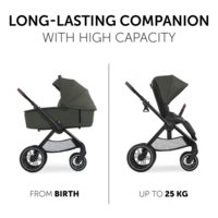 Універсальна коляска 2 в 1 Hauck Walk N Care Air Dark Olive (16549-2)