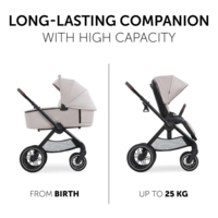 Універсальна коляска 2 в 1 Hauck Walk N Care Beige (16546-1)