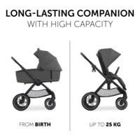 Универсальная коляска 2 в 1 Hauck Walk N Care Air Dark Grey (16548-5)