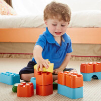 Набор блоков Green Toys (BLKA-1110)