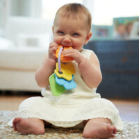 Стартовий набір іграшок Green Toys (BTS1-1236)