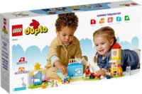 Конструктор LEGO DUPLO Ігровий майданчик (10991)