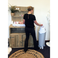 Утилізатор використаних підгузків Diaper Champ One Maxi HANDSFREE Silver (2301)