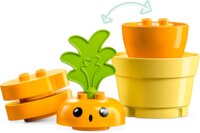 Конструктор LEGO DUPLO Морква на грядці (10981)