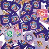 Настільна гра Spin Master Меморі Щенячий патруль 2, 72 картки (SM98273/6067937)