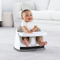 Сидение-бустер 2 в 1 Ingenuity Baby Base (10678)