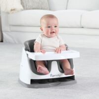 Сидение-бустер 2 в 1 Ingenuity Baby Base (11576)