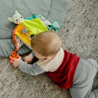 М'яка розвиваюча іграшка Fehn Активна лисиця (4001998049039)