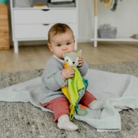 М'яка розвиваюча іграшка Fehn Активна лисиця (4001998049039)