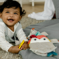 М'яка розвиваюча іграшка Fehn Крокодил (049183)