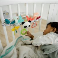 М'яка розвиваюча іграшка на коляску Fehn Панда (049145)