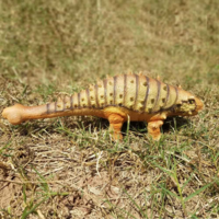 Динозавр HGL Анкілозавр (21195)