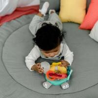 М'яка розвиваюча іграшка Fehn Активна черепаха (4001998049114)