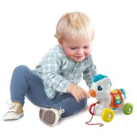 Игрушка-каталка музыкальная Clementoni "Pull Along Baby Pony" (17812)