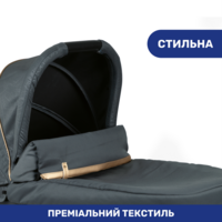 Коляска 2 в 1 Chicco Best Friend Pro Light City Map Re-Lux (79866.57.04)